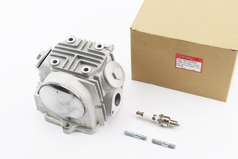 Головка циліндра Delta 70cc 47мм з клапанами, розподільним валом і кришками у зборі, арт. 318597